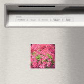 Heet roze Azalea's Magneet (Insitu (Vaatwasser))