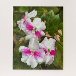 Heet Roze Camellia, San Francisco Legpuzzel