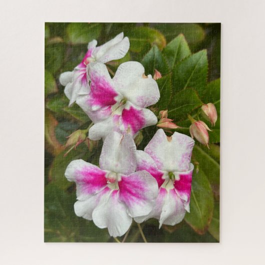 Heet Roze Camellia, San Francisco Legpuzzel (Verticaal)