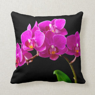 Heet Roze Dendrobium Orchidee Bloem Orchideeën Sja Kussen