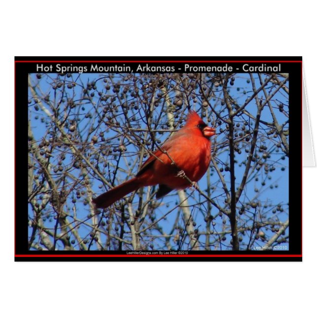 Heet Springs Mountain Promenade Kardinaal Gifts (Voorkant Horizontaal)