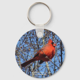 Heet Springs Mountain Promenade Kardinaal Gifts Sleutelhanger