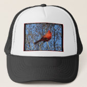 Heet Springs Mountain Promenade Kardinaal Gifts Trucker Pet (Voorkant)