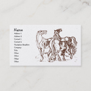 Heetshorses, Naam, Adres 1, Adres 2, Kon... Visitekaartje