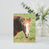 Heeya, wat is er in doc? briefkaart (Staand voorkant)