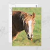 Heeya, wat is er in doc? briefkaart (Voorkant / Achterkant)