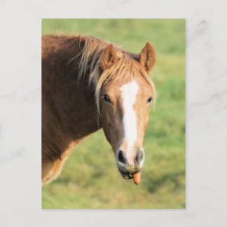 Heeya, wat is er in doc? briefkaart