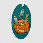 Hefboom O'Budgies Ornament (voorkant)