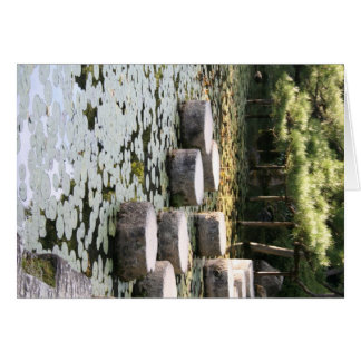 Heian Gardens Pond en Walk in Kyoto