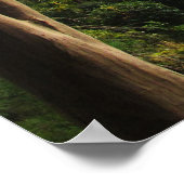 Heian Shrine Garden Poster (Hoek)