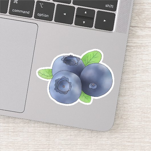 Heidelbeeren Sticker (Detail)