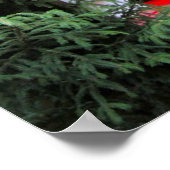 Heidelberg-kerstmarkt, kerststal poster (Hoek)