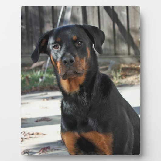 Heidi Rottweiler Backyard Photo Plaque Fotoplaat (Voorkant)