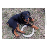 Heidi Rottweiler Compter La Carte Heures