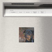Heidi Rottweiler Magnet Magneet (Insitu (Vaatwasser))