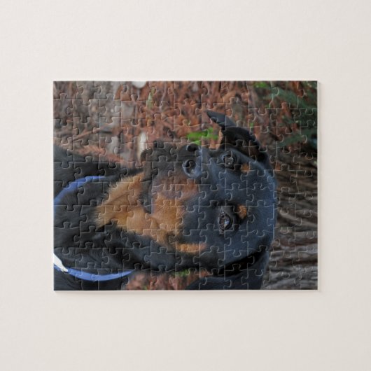 Heidi Rottweiler Puzzle (Horizontal)