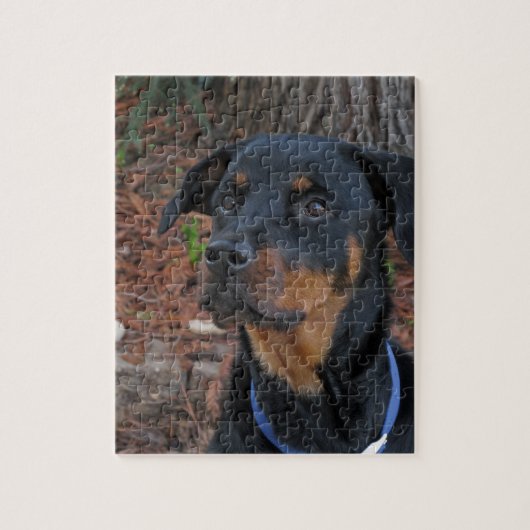Heidi Rottweiler Puzzle (Vertical)