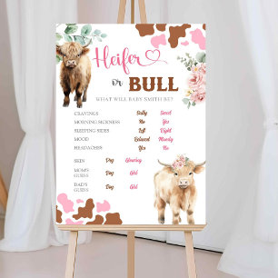 Heifer of Bull Koe Geslacht Onthullen Oude Vrouwen Poster