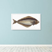 heilbot (Pleuronectes Hippoglossus) bord XLVII fr Canvas Afdruk (Insitu (Houten vloer))