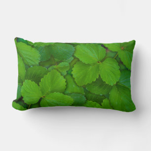 Heilige Basilicum Tulsi groene munt bladeren Kussen