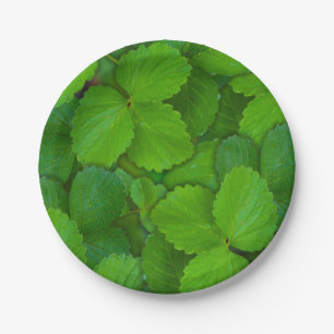Heilige Basilicum Tulsi groene munt bladeren Papieren Bordje