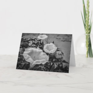 Heilige Doornappel Kaart