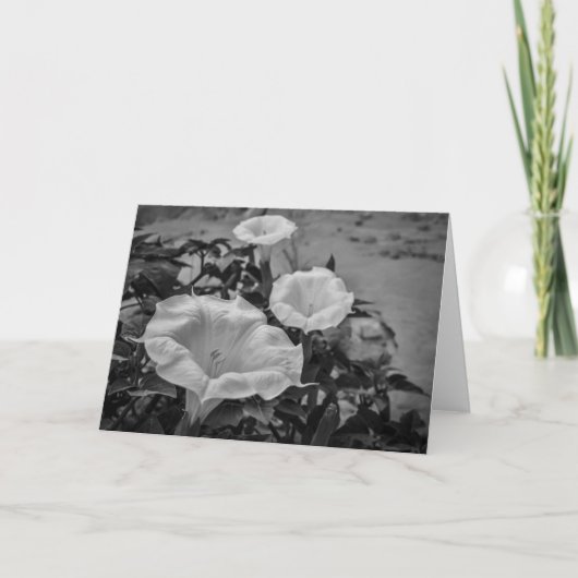 Heilige Doornappel Kaart (Voorkant)