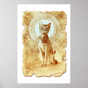 Heilige Egyptische koninklijke kat Poster