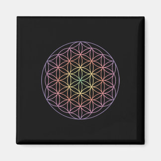 Heilige Geometrie De Bloem Van Leven Yoga Yantra S Magneet