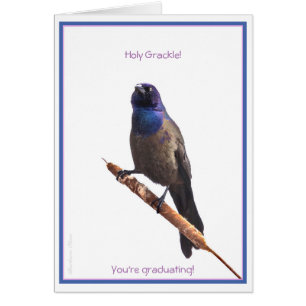 Heilige Grackle! Je studeert af: