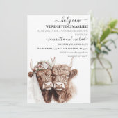 Heilige Koe Hoogland Bruid Bruidegom Trouwen Kaart (Staand voorkant)