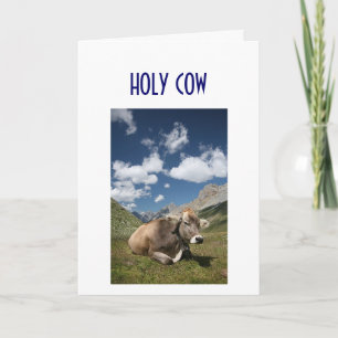 HEILIGE KOE, IK HOU VAN U! KAART