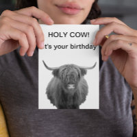 Heilige Koe Verjaardag Schotse Hooglander Koe Kaar
