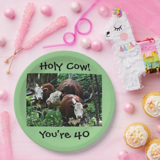 Heilige Kool U bent 40 papieren Bord (Feest)