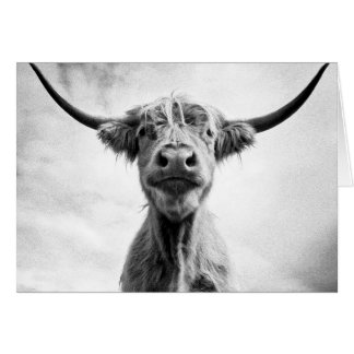Heilige Kow Mesotint Style Art Fotografie L