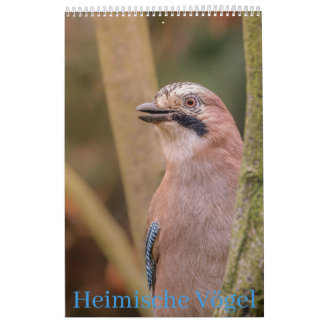 Heimische Vögel Kalender