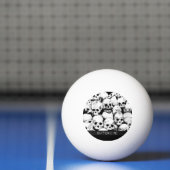 heipalen pingpongballen (Net)