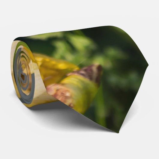 Heirloom Iris Cravate (Roulé)