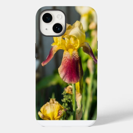 Heirloom Iris iPhone Case (Achterkant)