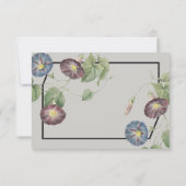 Heirloom moderne Morning Glory Réponse (Dos)