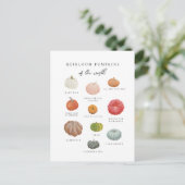 Heirloom Pumpkins Herfst Briefkaart (Staand voorkant)