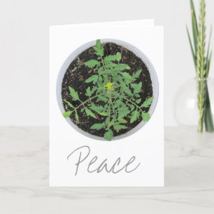 Heirloom Tomato Plant Peace Sign-Wenskaarten Kaart