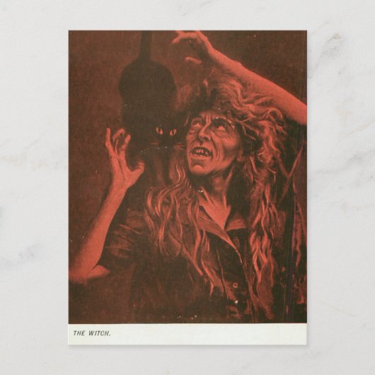 heks en haar kat briefkaart (Voorkant)