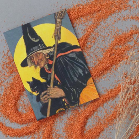 heks met zwarte kat kaart