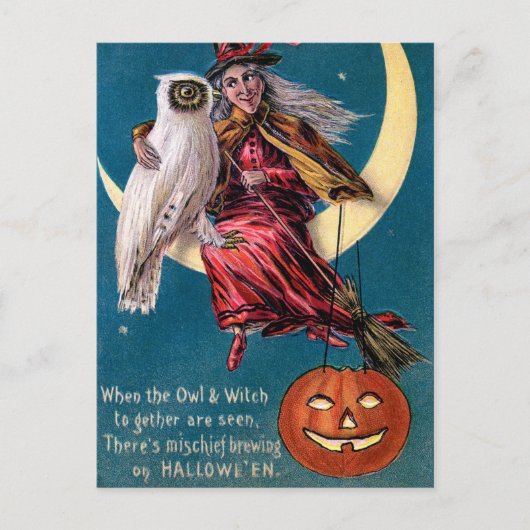  heks pompoen uil Halloween briefkaart (Voorkant)