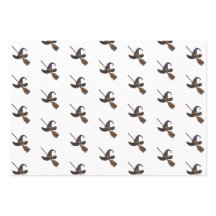 Heksen Pet en bezemsteel