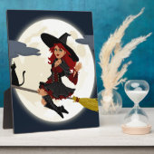 heksenbroomstokbroom fotoplaat (Zijkant)