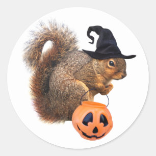 Hekseneekhoorn Trick-or-Treat Sticker
