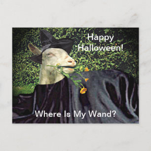 Heksengeit Halloween Briefkaart
