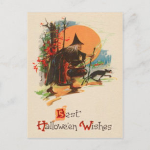 Heksenketel Zwarte Kat Vollemaan Briefkaart